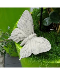 Schmetterling "Mariposa", Resin